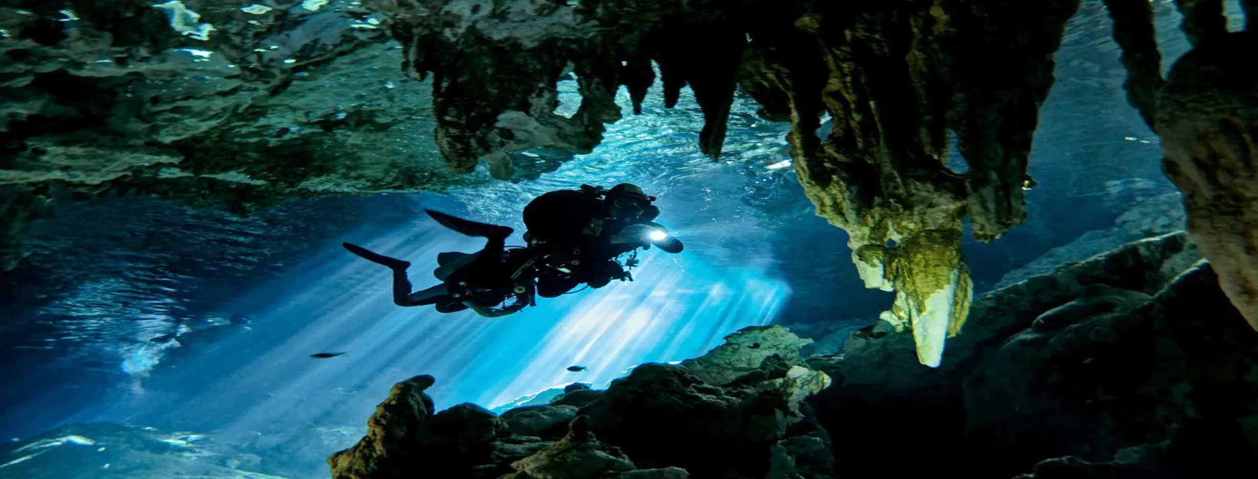 Image for Dive into Adventure